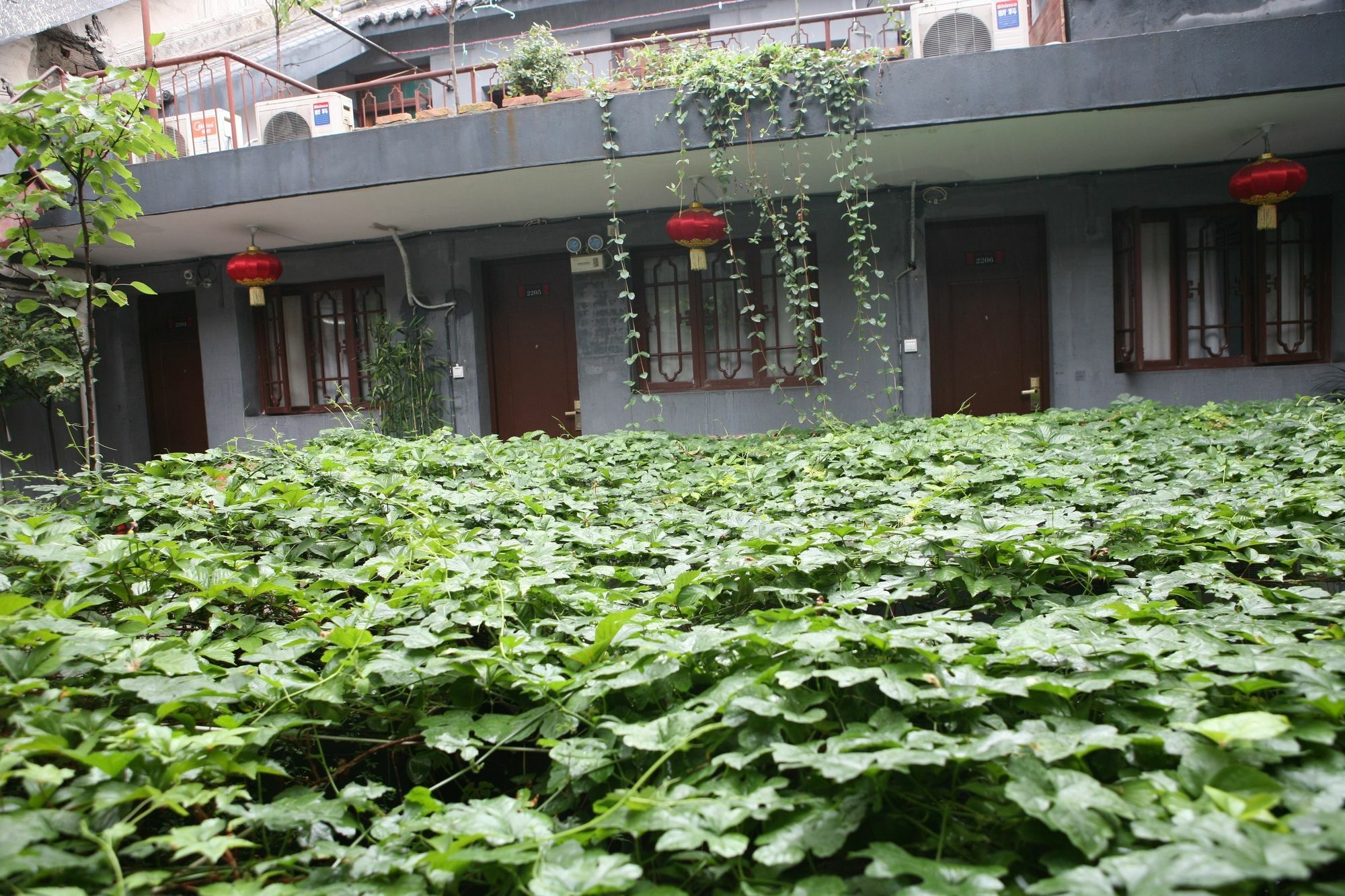 Shuyuan Youth Hostel Xi'An Xi'an  Exteriör bild